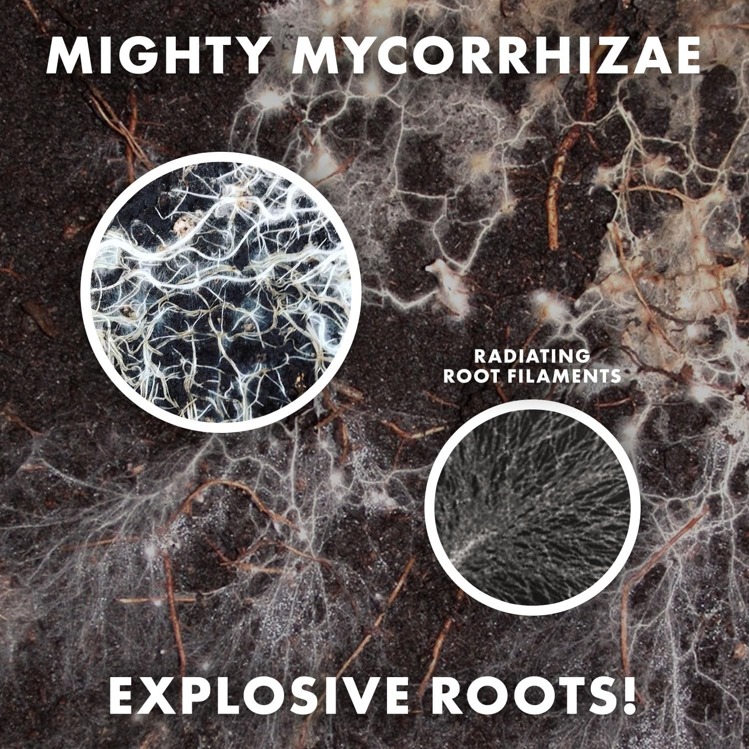 Organic 5 oz Mycorrhizae 16 Species Inoculant Treats 6,000 4-Inch Plants. Exp…