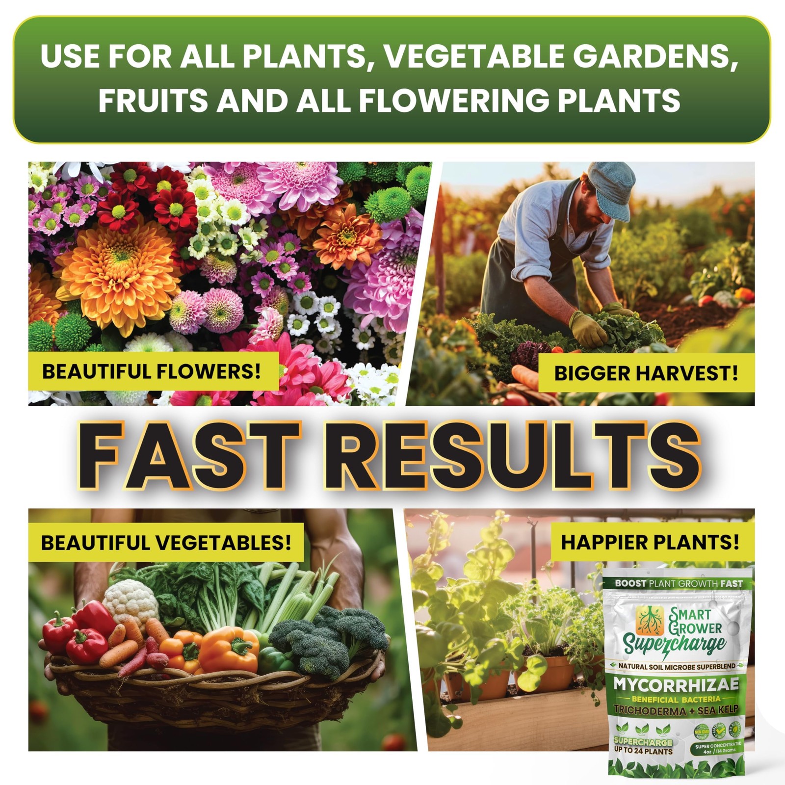 Mycorrhizal Fungi with Beneficial Bacteria, Trichoderma, Sea Kelp, Molasses, …