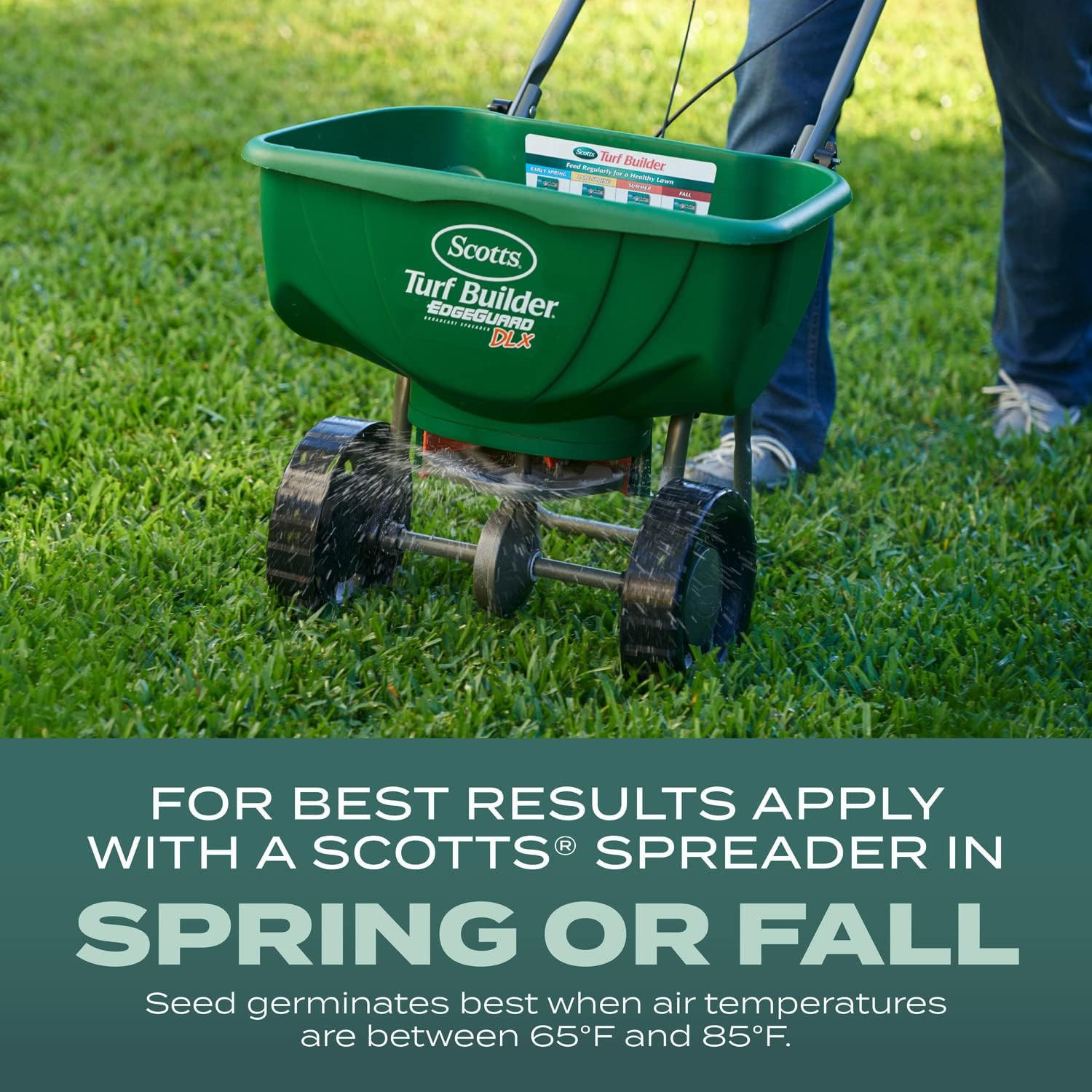 Scotts Turf Builder Grass Seed Dense Shade Mix – Grass Seed plus Lawn Fertilizer