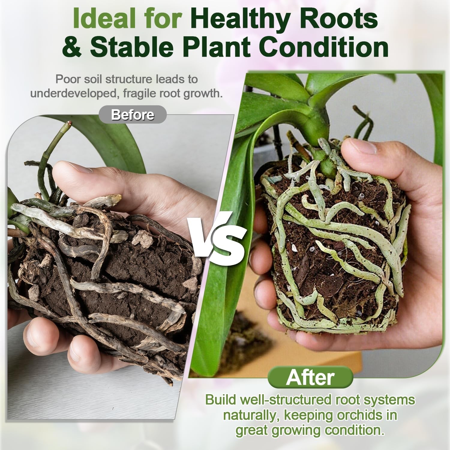 Orchid Bark Potting Mix 3 Quart, Mix Pine Bark,Perlite, Sphagnum Moss and Cla…