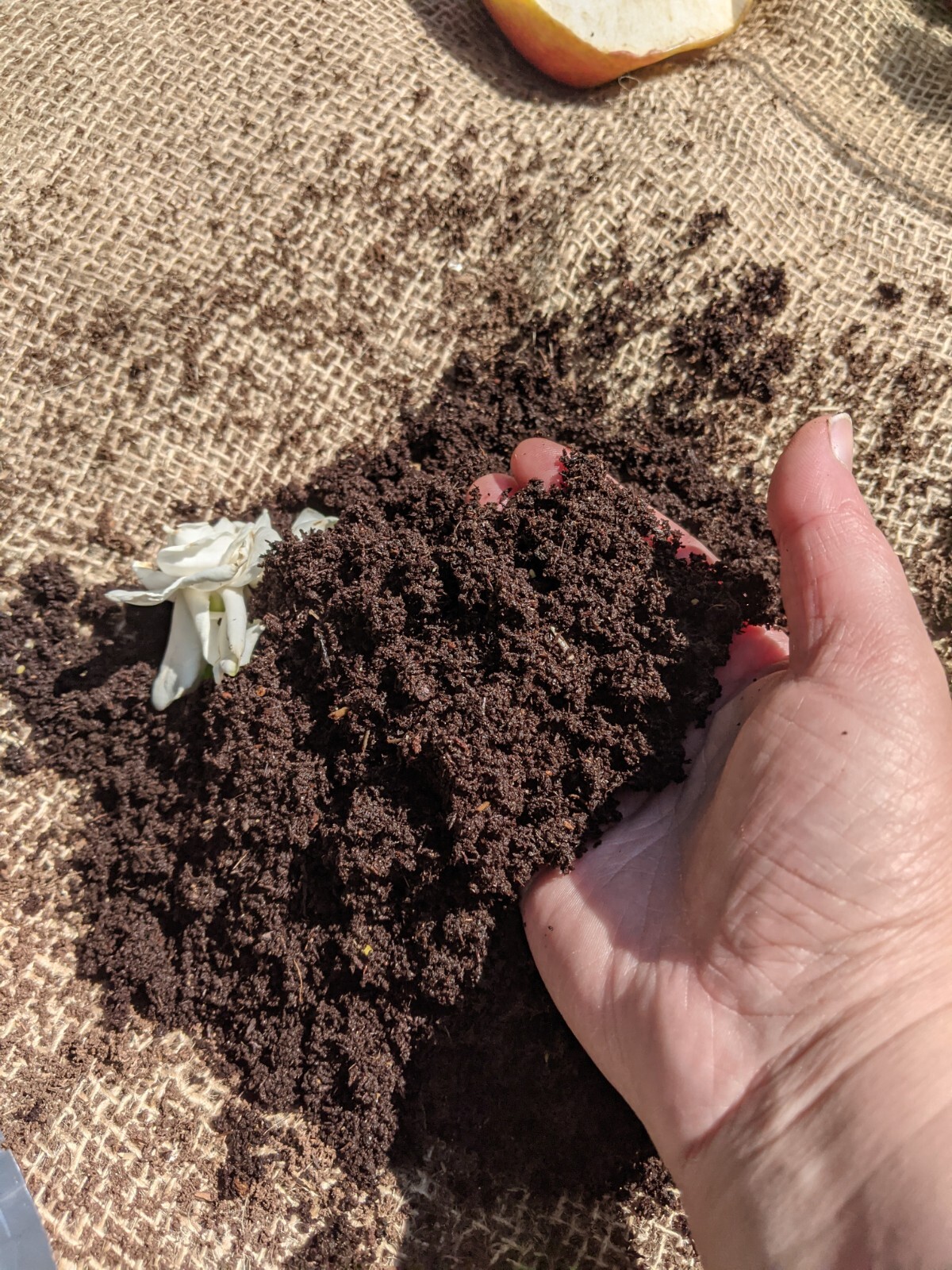 1 Ib Worm Castings-FREE Shipping, Organic Soil Fertilizer