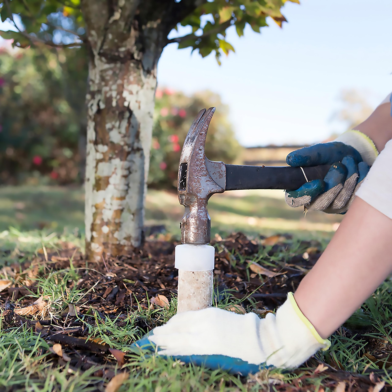 Jobe’s Slow Release Tree and Shrub Fertilizer Spikes, Easy Plant Care for Oak…