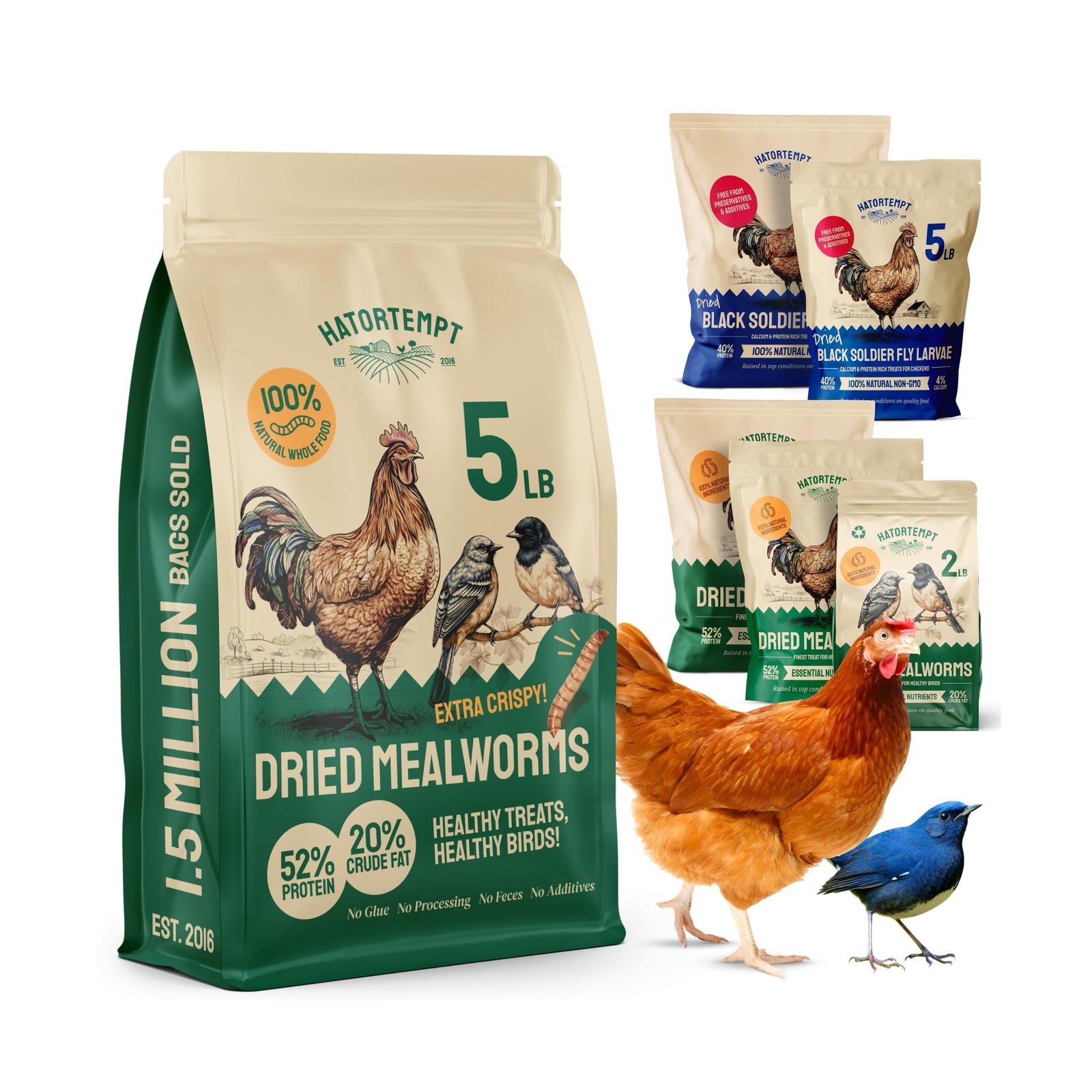 Dried Mealworms 5 lbs – Organic Non GMO Chicken Feed – High Protein Poultry F…
