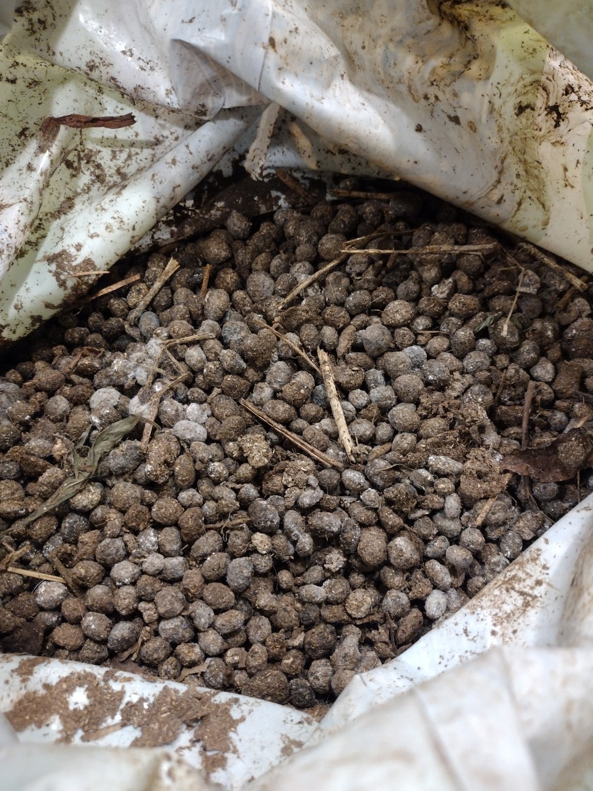 Rabbit Manure ( 5 lbs )