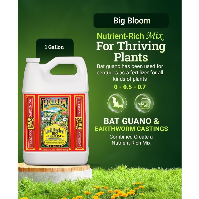 Big Bloom Liquid Plant Food – Organic Bloom Fertilizer for Flowering