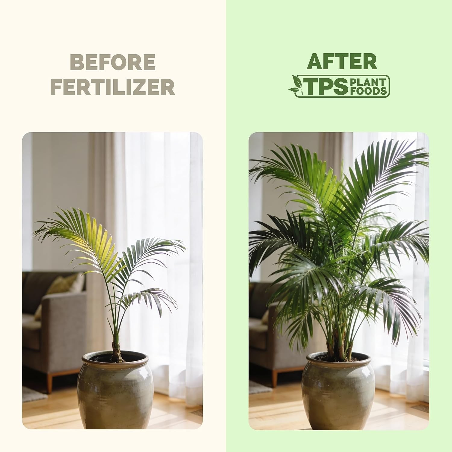 Palm Tree Fertilizer, Liquid Plant Food for Rich Green Fronds, 1 Gallon | Ind…
