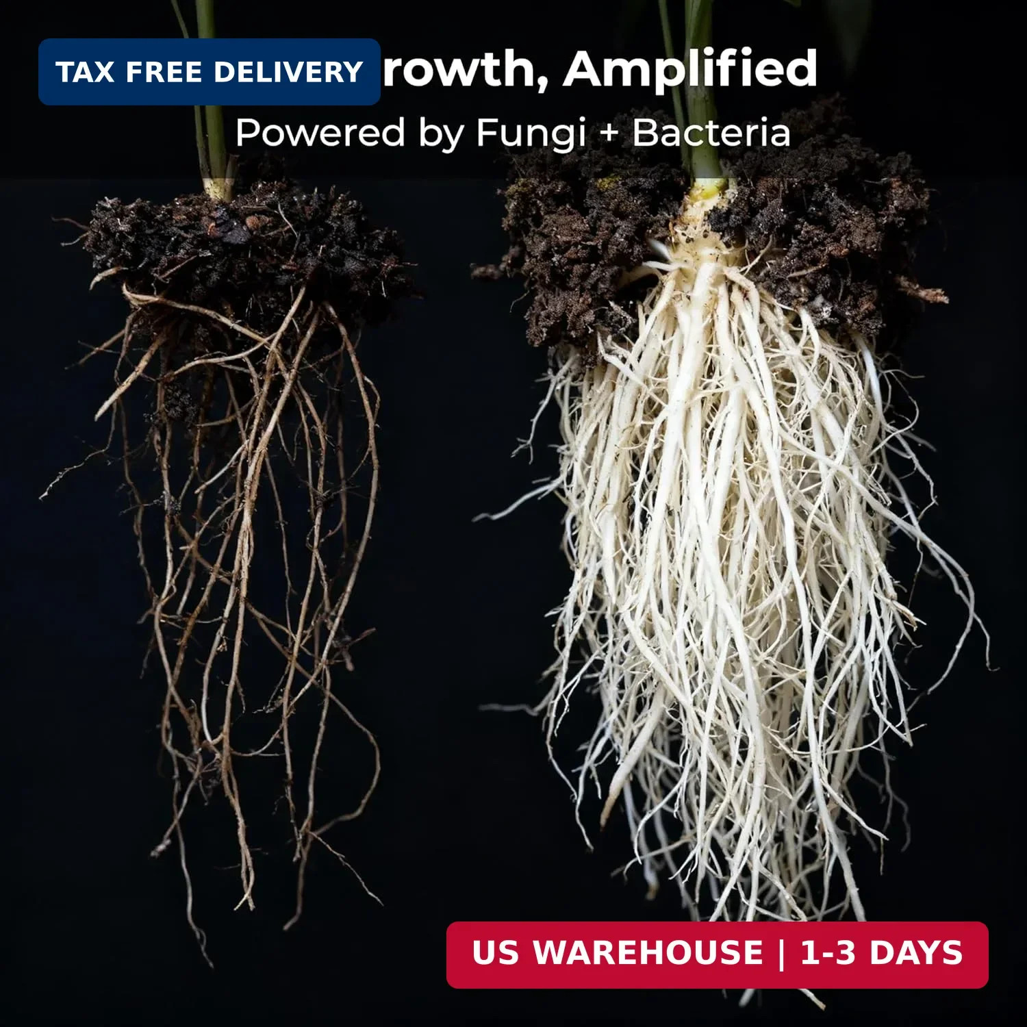 Recharge 2 oz – Explosive Root Growth with Mycorrhizae for Living S