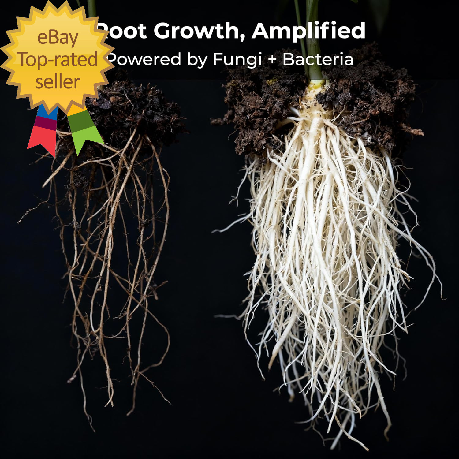 Recharge 2 Oz Explosive Root Growth with Mycorrhizae for Living Soil & Coco Coir