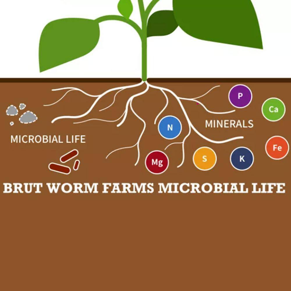Organic Worm Castings Soil Builder, 30 Pound Bag (2-Pack)