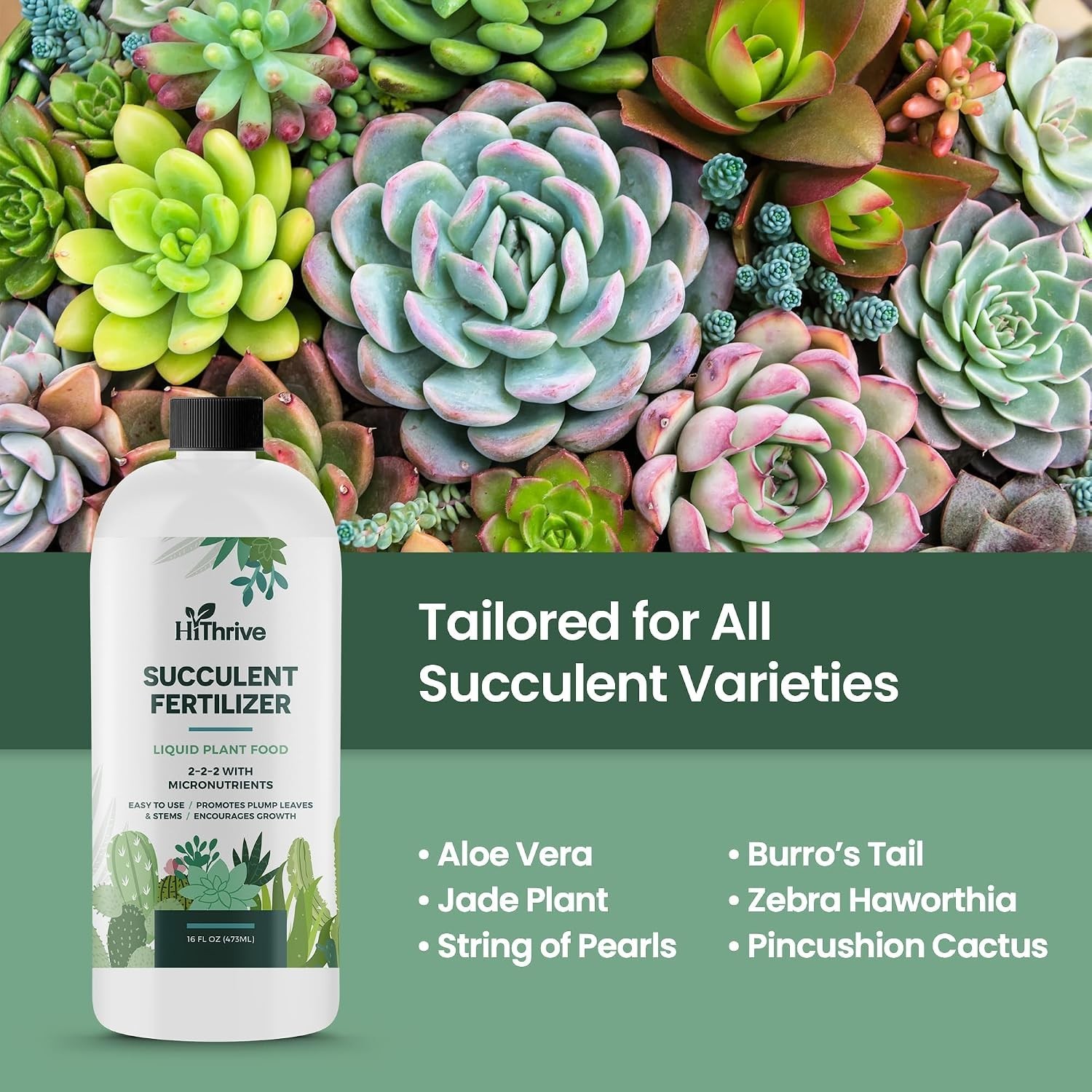 Succulent Fertilizer for Vibrant Leaves, Strong Roots & Plump Growth, 16oz | …