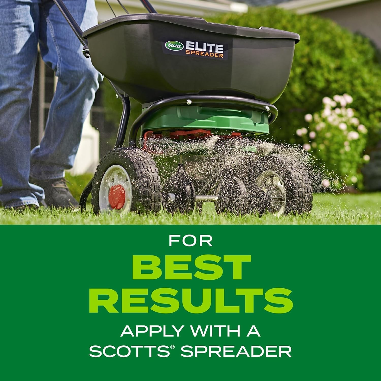 Scotts Turf Builder Rapid Grass Tall Fescue Mix Seed Fertilizer