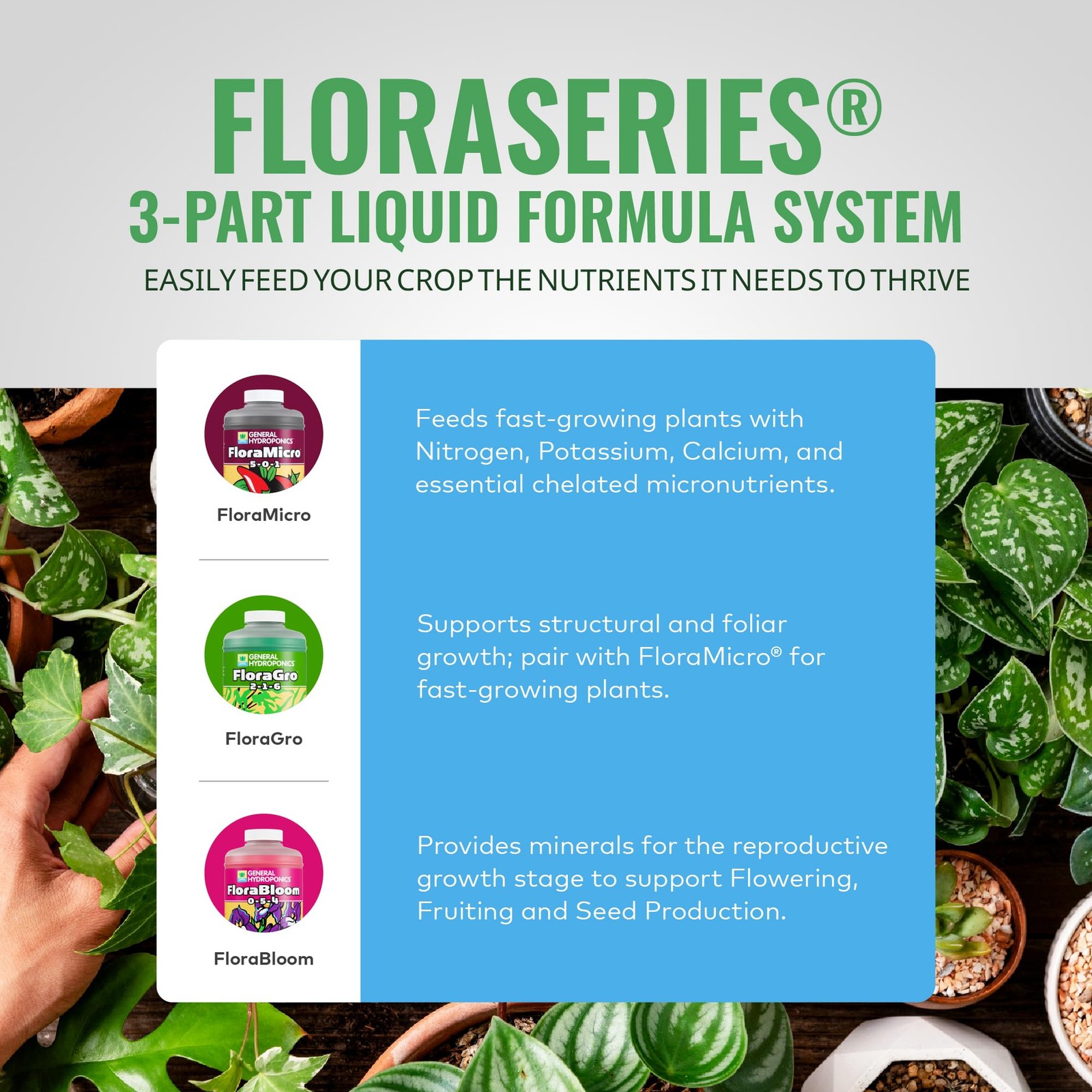 Plant Nutrients Hydroponic Grow Food 2 1 6 Structural Foliar 1 Quart