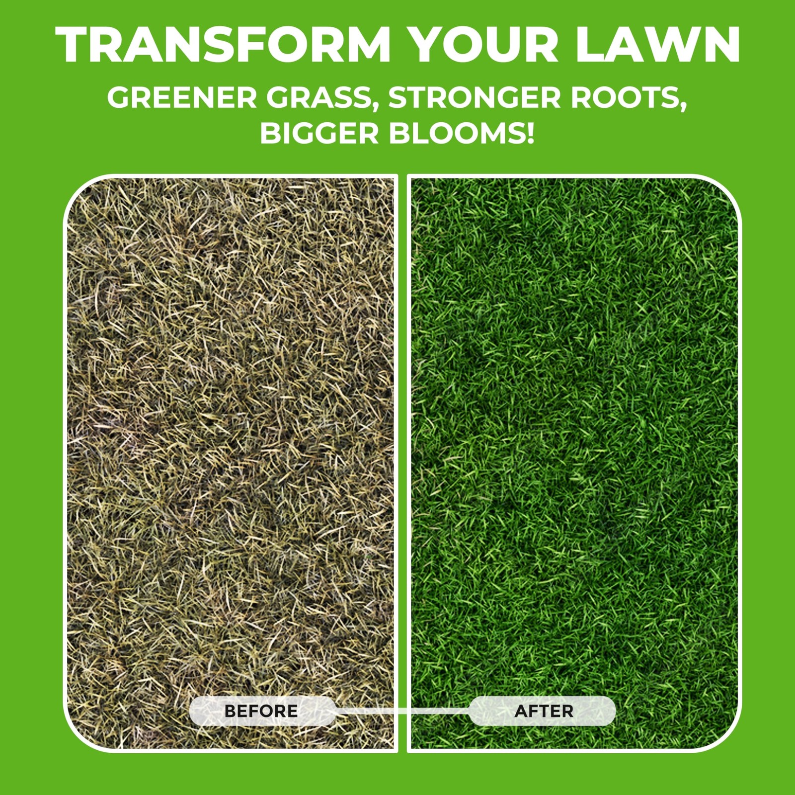 All Purpose 101010 Liquid Fertilizer 32oz Lawn Plant Food Concentrate Grow