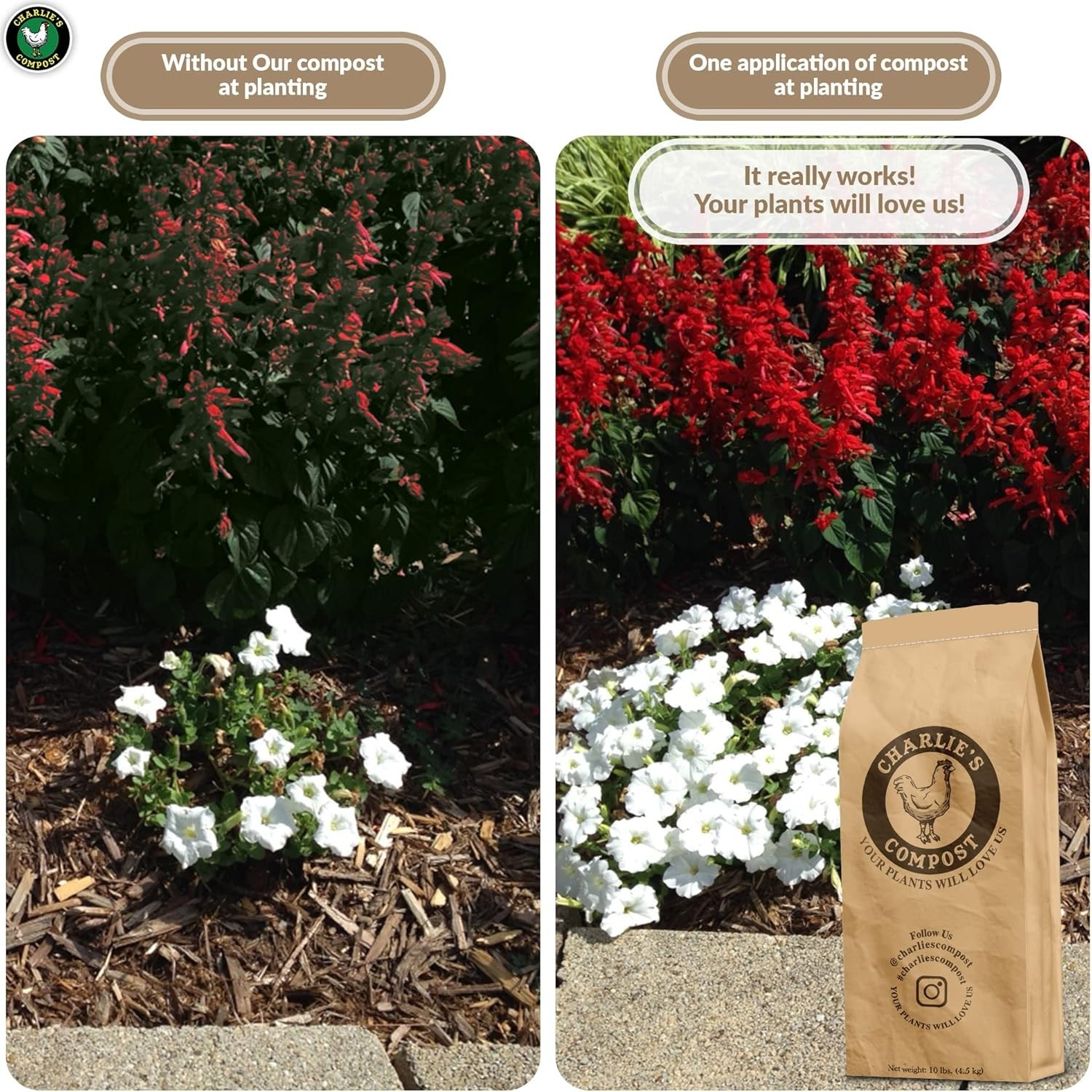 Soil Amendment 10 lb Organic Compost with Chicken Manure Biochar