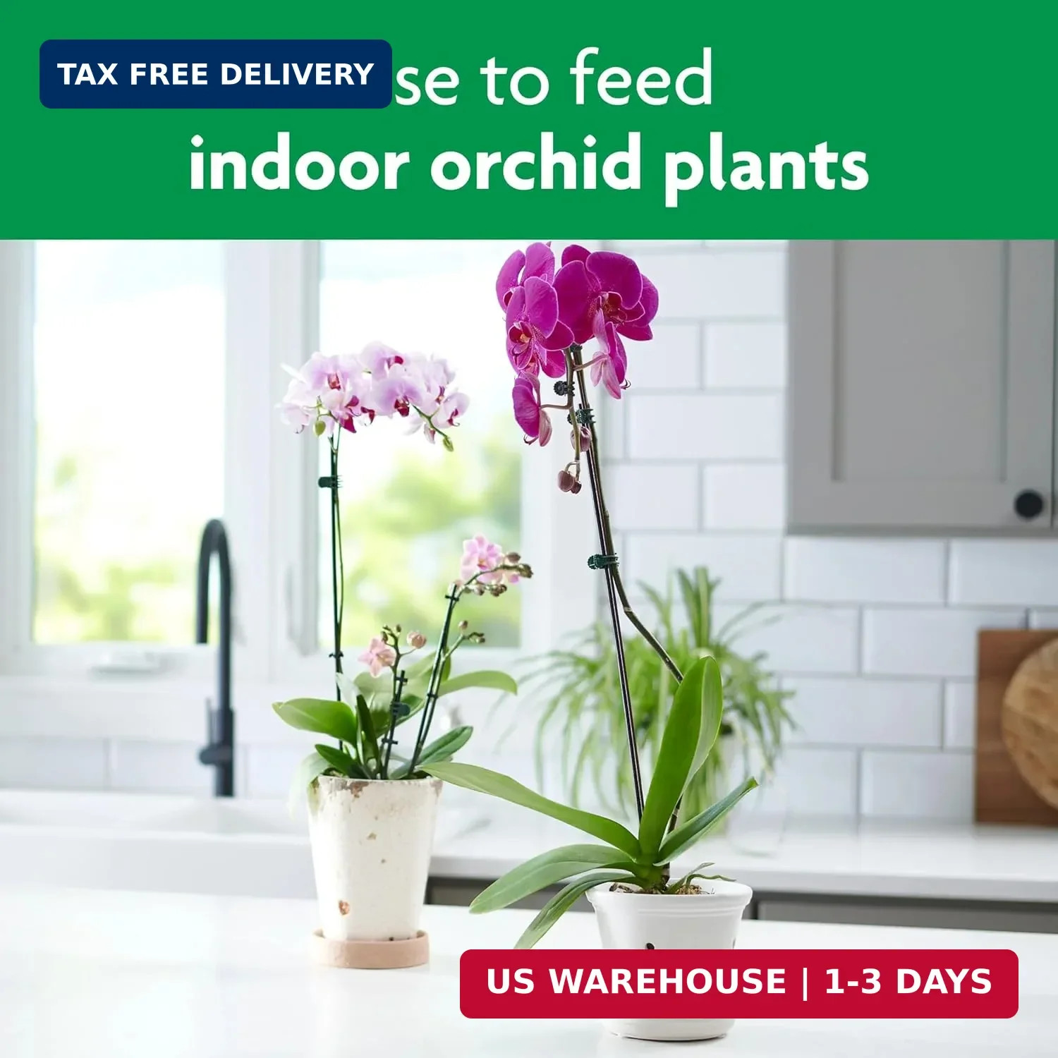 Miracle-Gro Orchid Plant Food Spikes – Indoor Plant Fertilizer Sticks for Potted