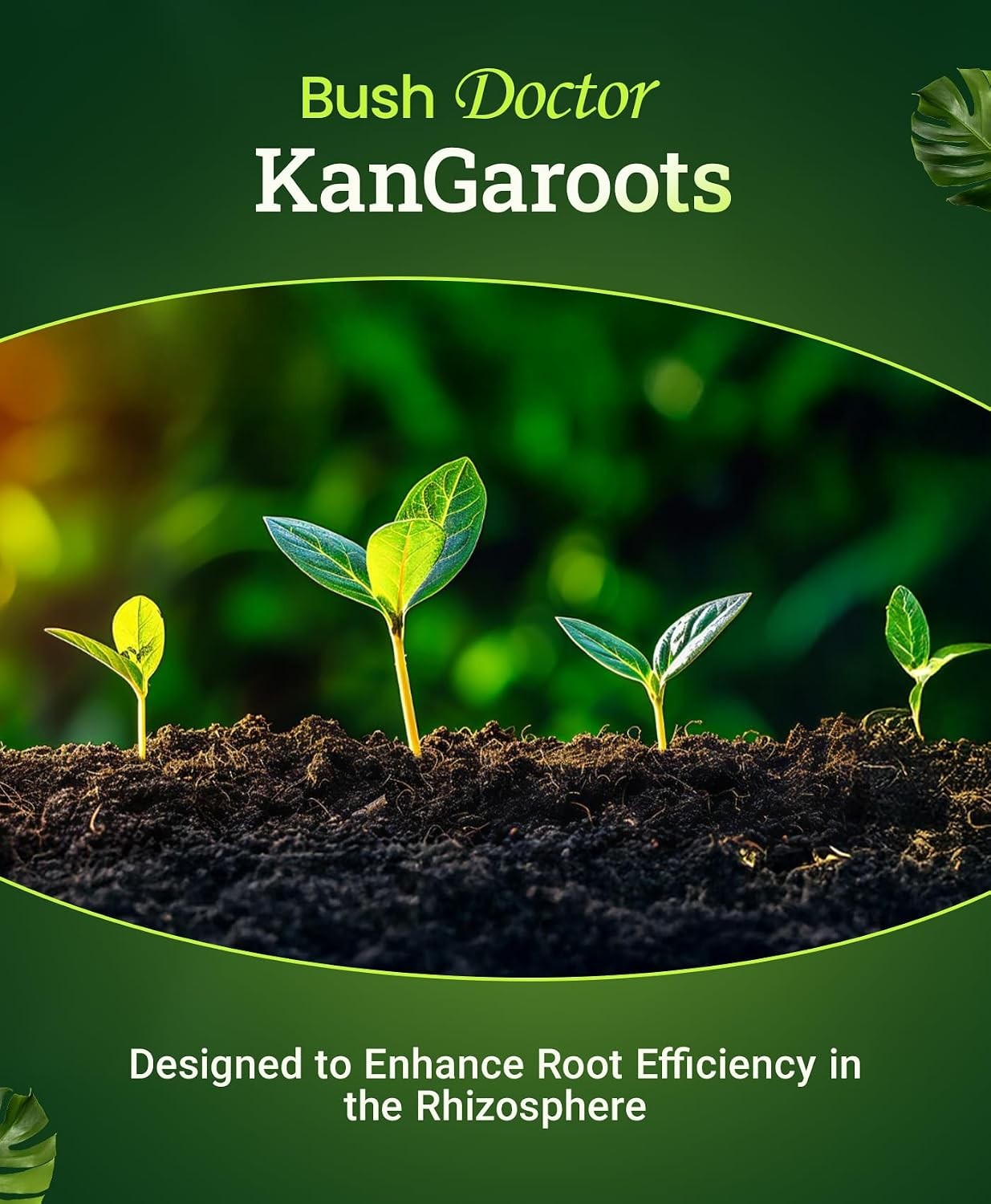 Bush Doctor Kangaroots Root Drench Inoculant – Enhances Efficiency Immediate