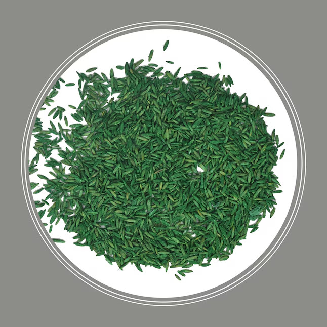 Pennington Contractor’s Mix North 40-lb Mixture/Blend Grass Seed