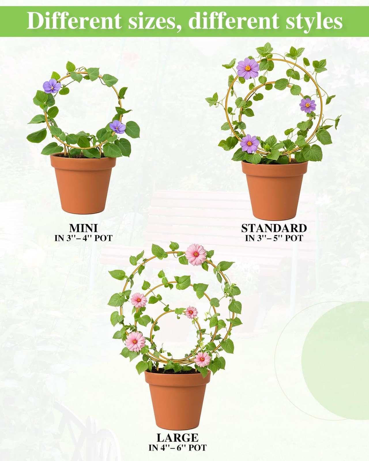3 Pack Premium Round Plant Trellis Indoor, Small Metal Plant Support Stake fo…