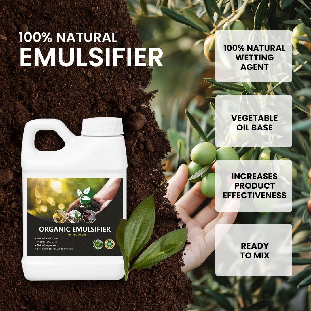 Yield RX Organic Unscented Emulsifier, Wetting Agent, Natural Vegetable Oil Base