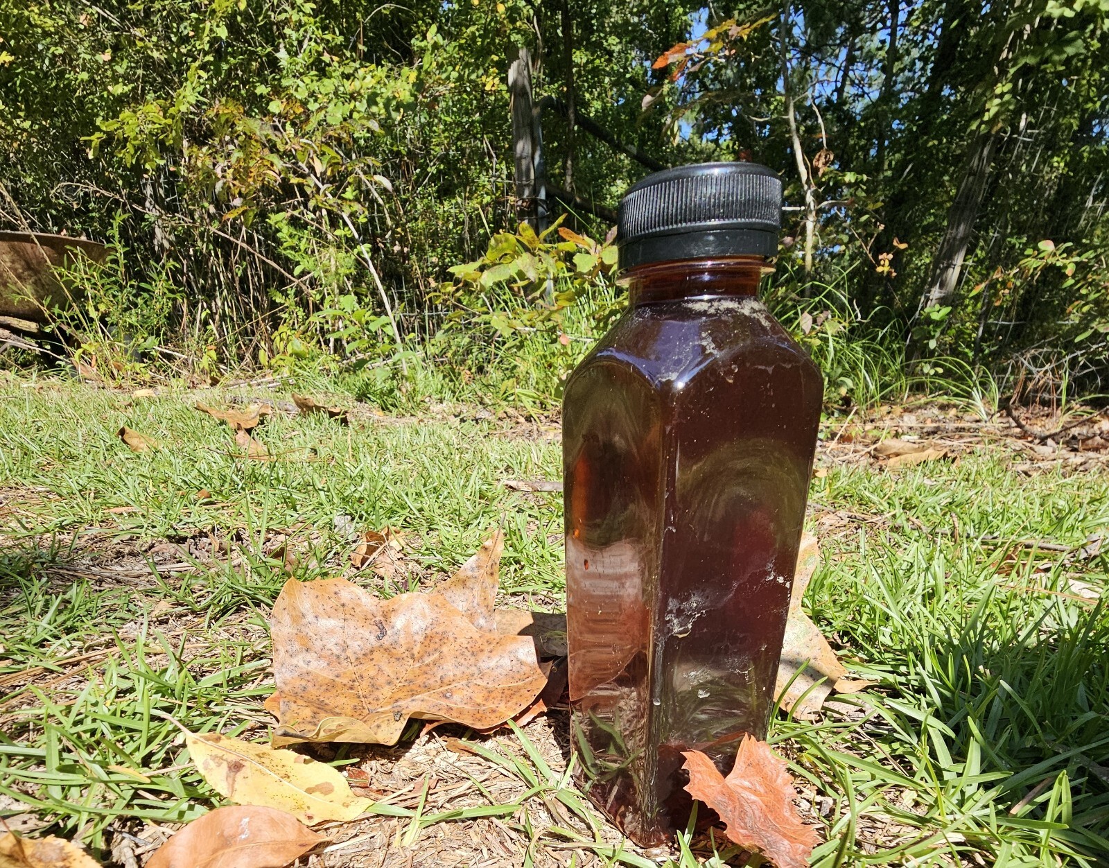 Two 16 oz. Bottles of Worm Leachate Concentrate RAW/UNFILTERED (1 Quart 32 oz.)