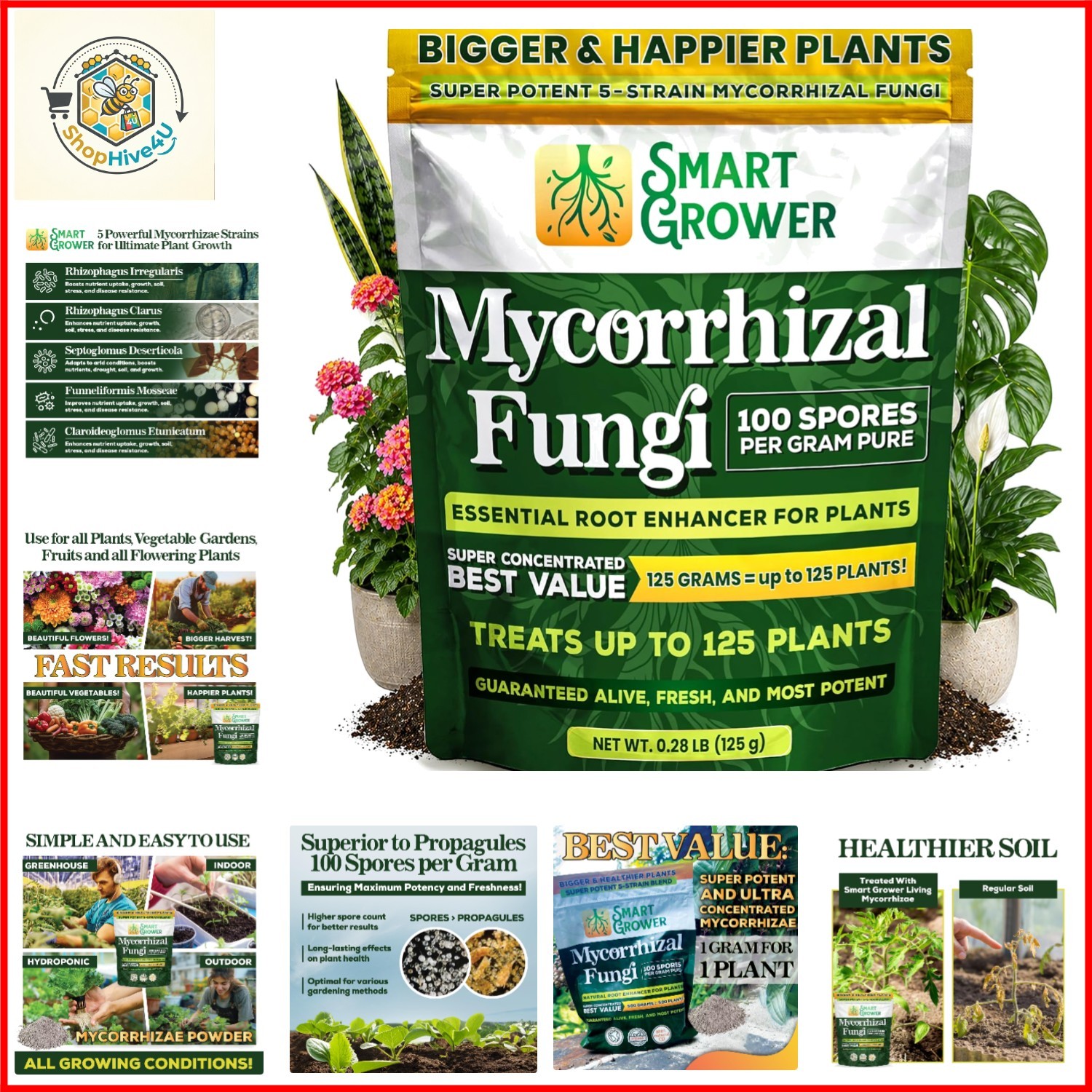 Mycorrhizal Fungi Root Enhancer 5-Strain Blend 125G, Treats 125 Plants | 100 …