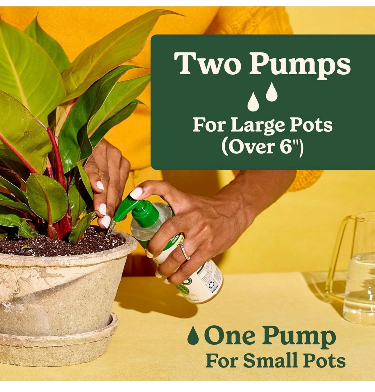 Indoor Plant Food for All Plants 8 Fl. Oz., 2-Pack