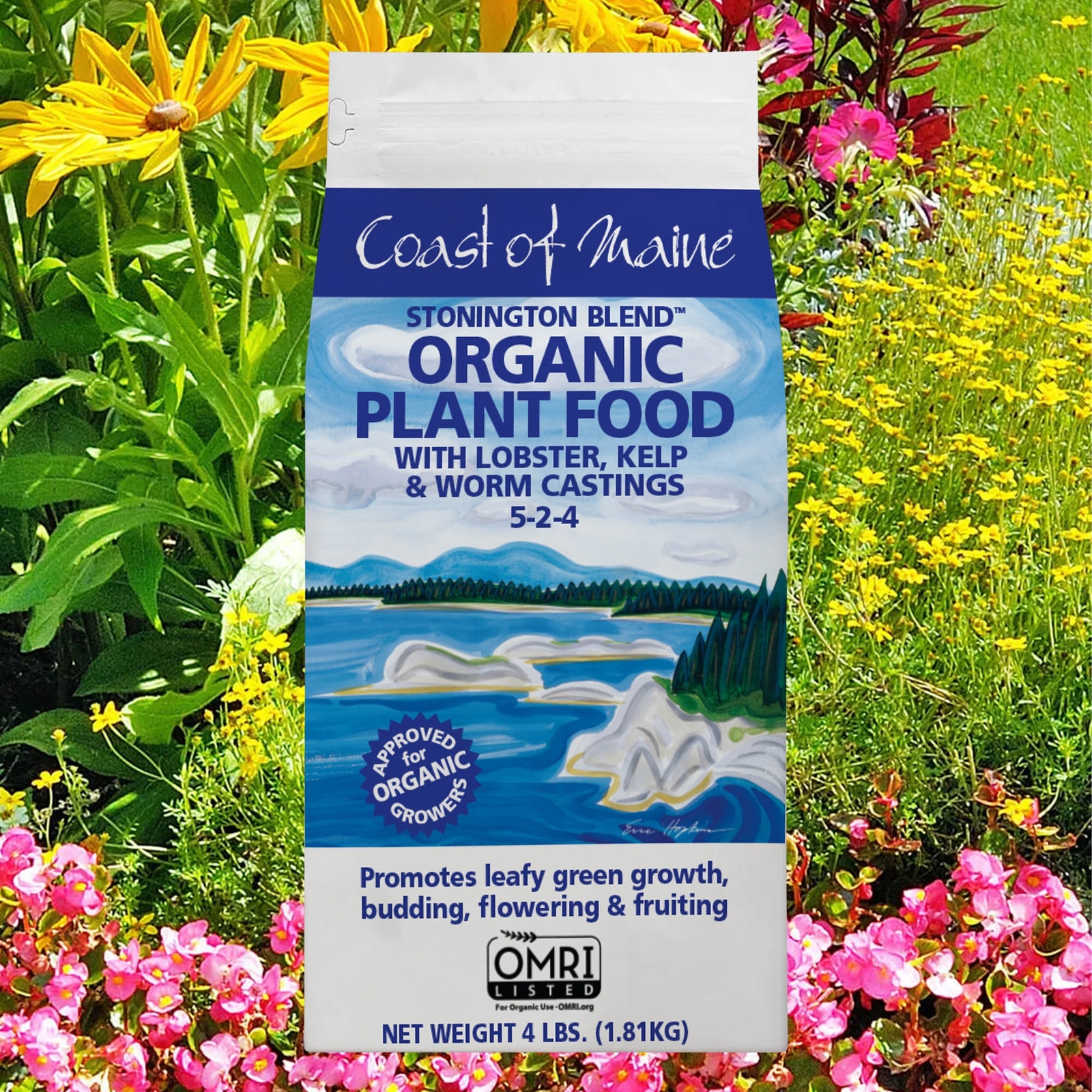 Coast of Maine ( 5-2-4 ) Stonington Blend Plant Food, 4lbs, 4 Pack