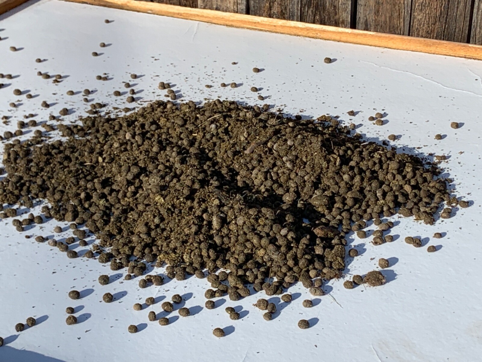 Organic Rabbit Manure Fertilizer – 3lbs. – Supports the Happy Rabbit Sanctuary