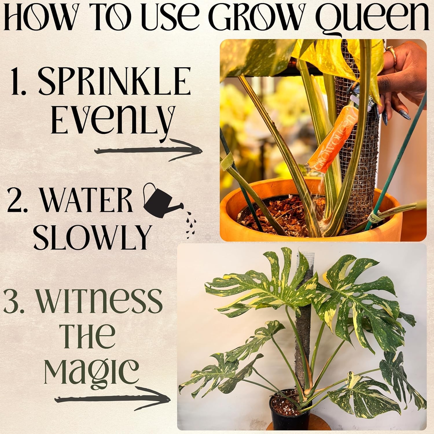 All-in-One Complete Organic Plant Food Indoor Fertilizer for Houseplants