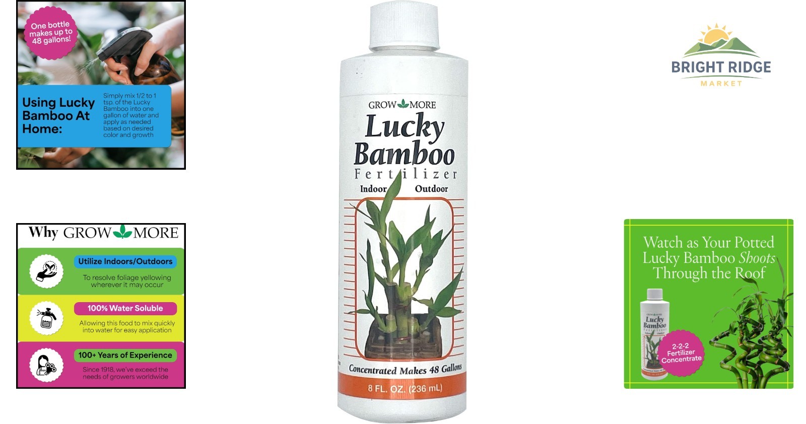 Lucky Bamboo Fertilizer 2-2-2, 8oz Liquid Plant Food for Indoor & Outdoor Growth
