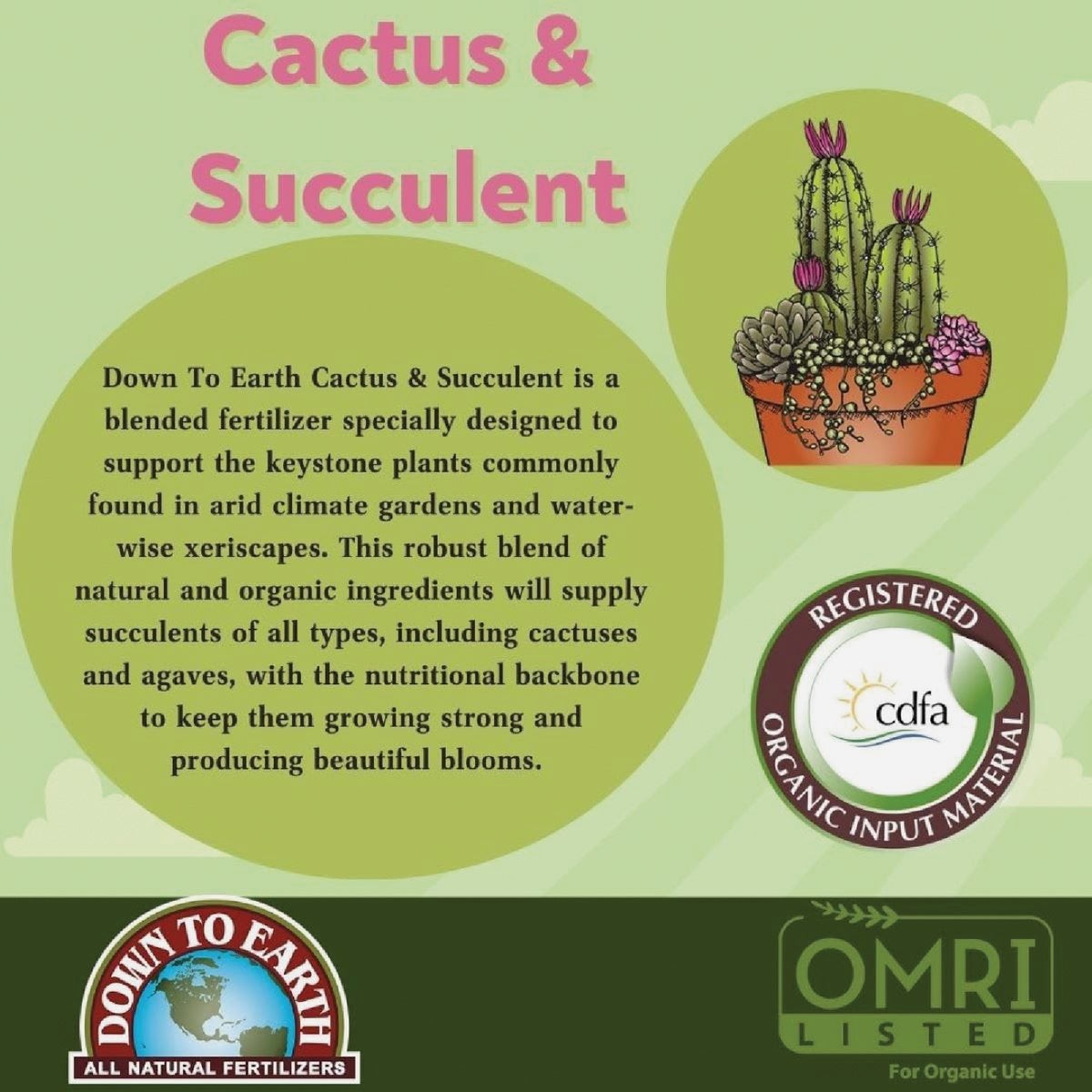 Down To Earth 1 Lb. 2-4-8 Cactus Mix DTE17878 Down To Earth DTE17878