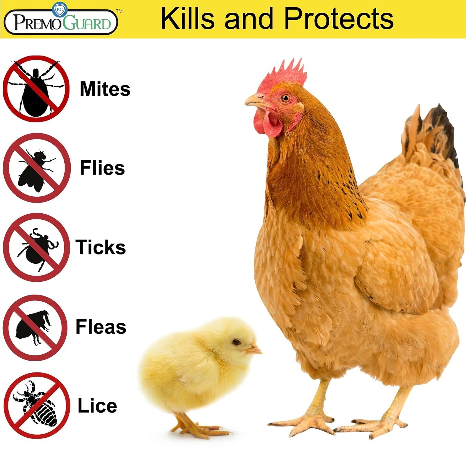Organic Poultry Pest Control Spray – Safe & Effective