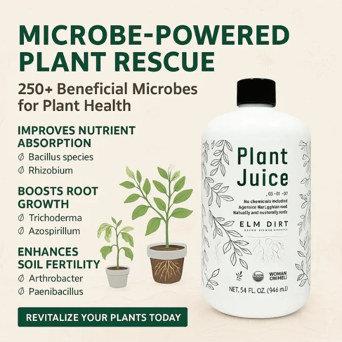 Elm Dirt Plant Juice Organic Fertilizer 32oz – Indoor & Outdoor Nutrient Boost
