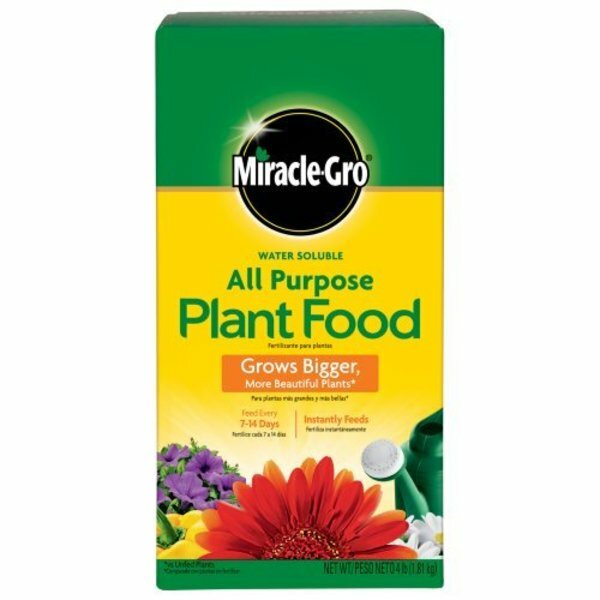 Miracle Gro 170101 All-Purpose Plant Food, 24-8-16 Formula, 4 Lb