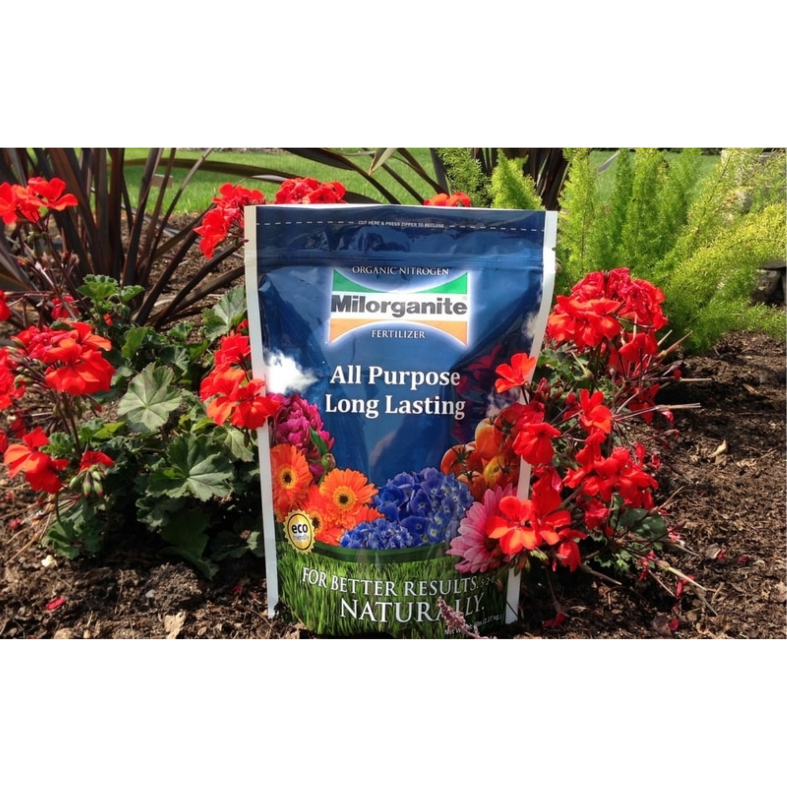 Milorganite All-Purpose Slow-Release Nitrogen Fertilizer 6-4-0, 5lb (Pack of 3)