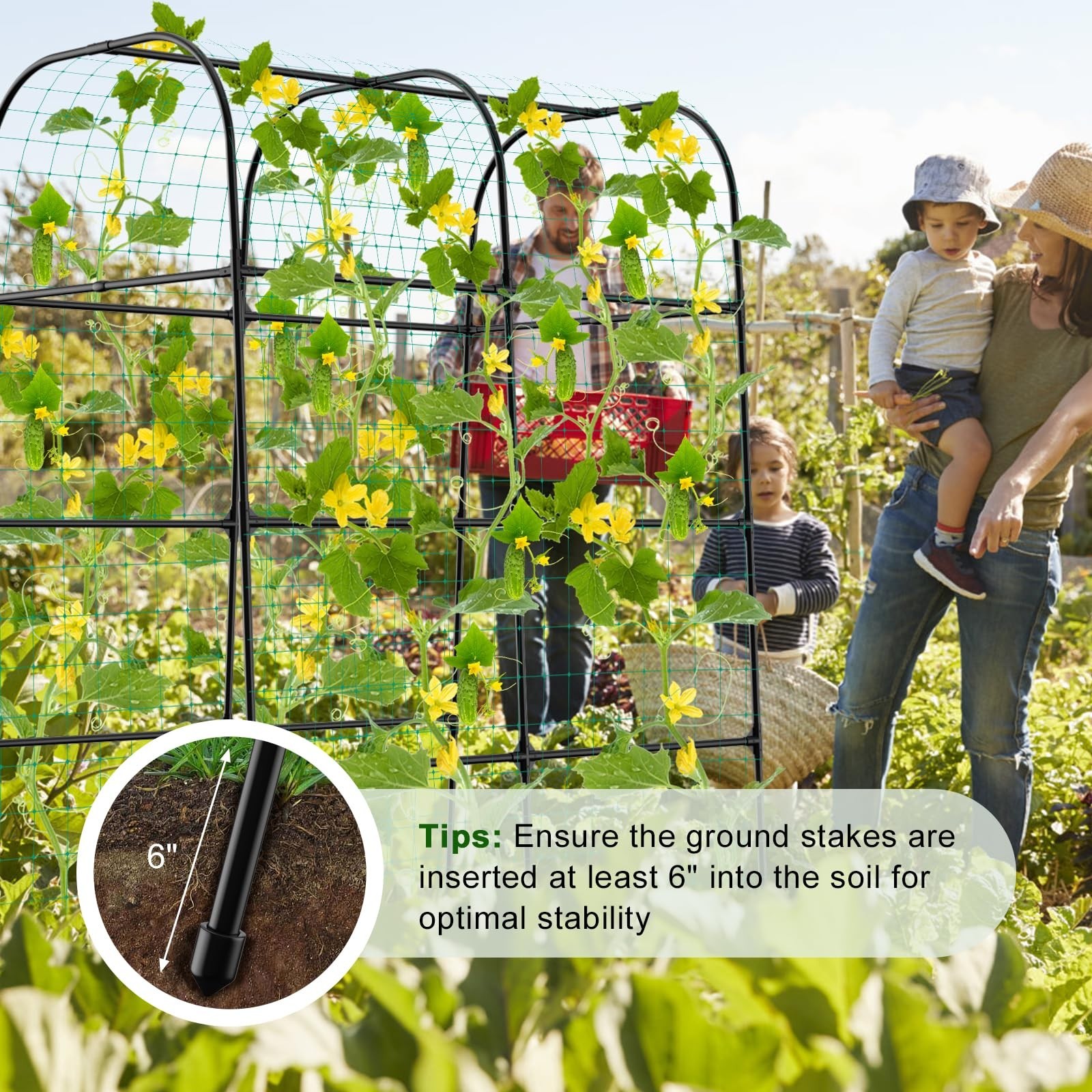 7ft Cucumber Trellis for Raised Bed, Garden Arch Trellis for Climbing Plants …