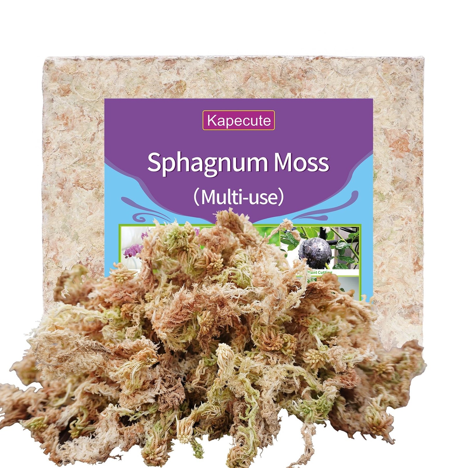 Sphagnum Moss 34QT for Plant Propagation, Great Orchid Potting Mix, Help with…