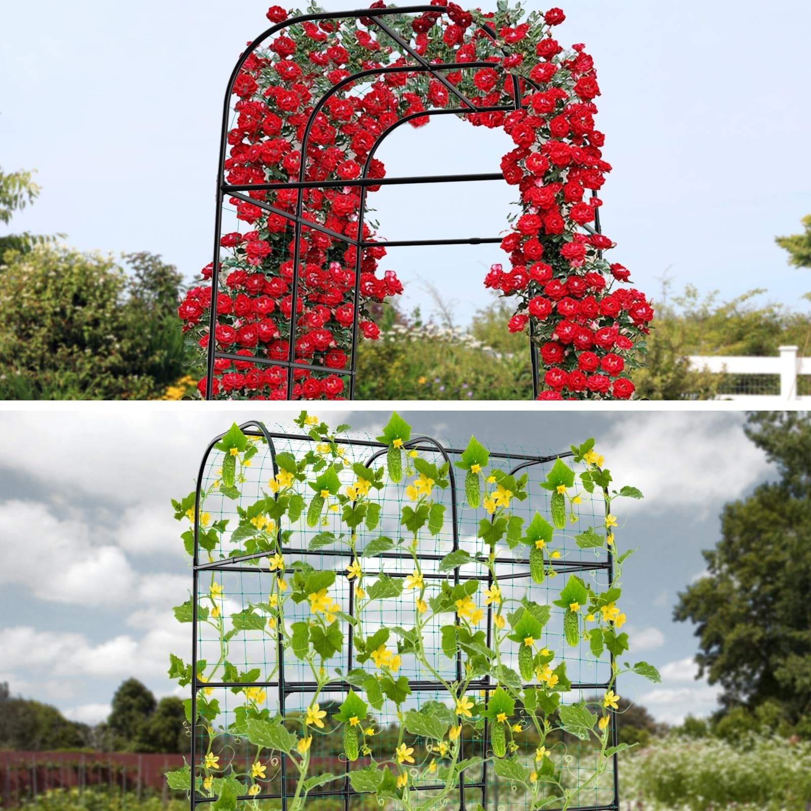 7ft Cucumber Trellis for Raised Bed, Garden Arch Trellis for Climbing Plants …