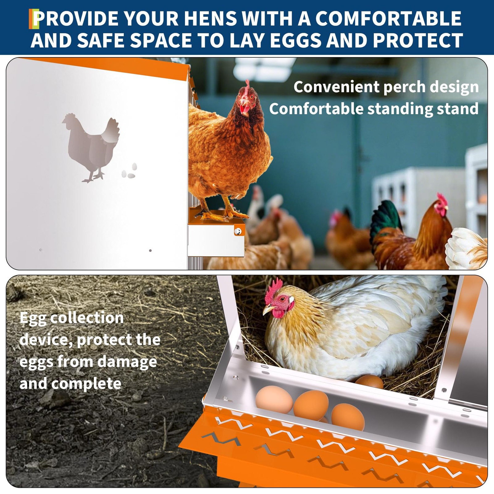 Peakpursuit Chicken Nesting 6 Compartment Galvanized Steel Chicken Laying Boxes