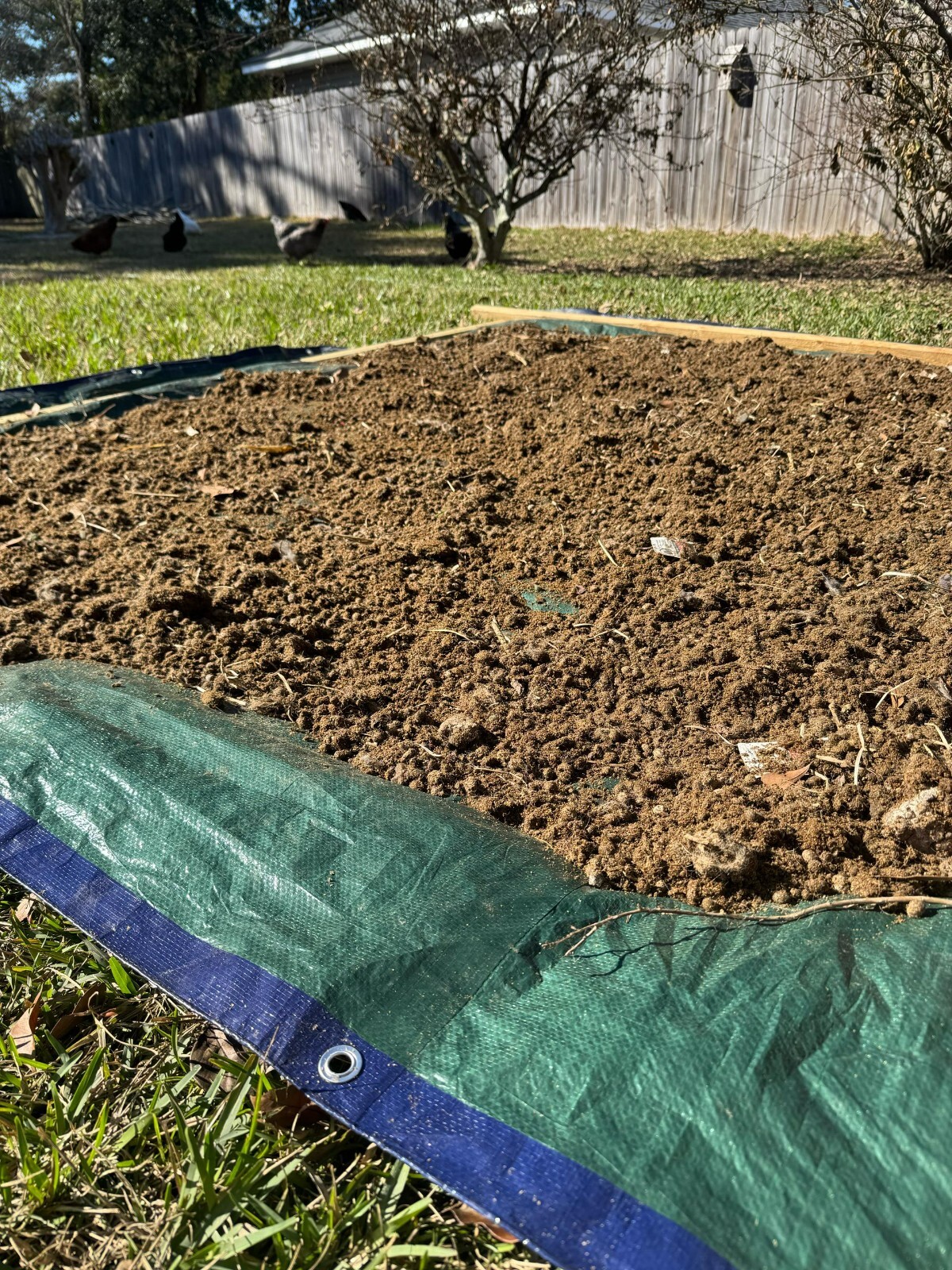 Rabbit Manure Fertilizer Pellets and Dust Grind