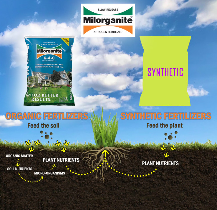 NEW Milorganite Long Lasting All Purpose Lawn Food, 6-4-0 Fertilizer,32 lb – 2P