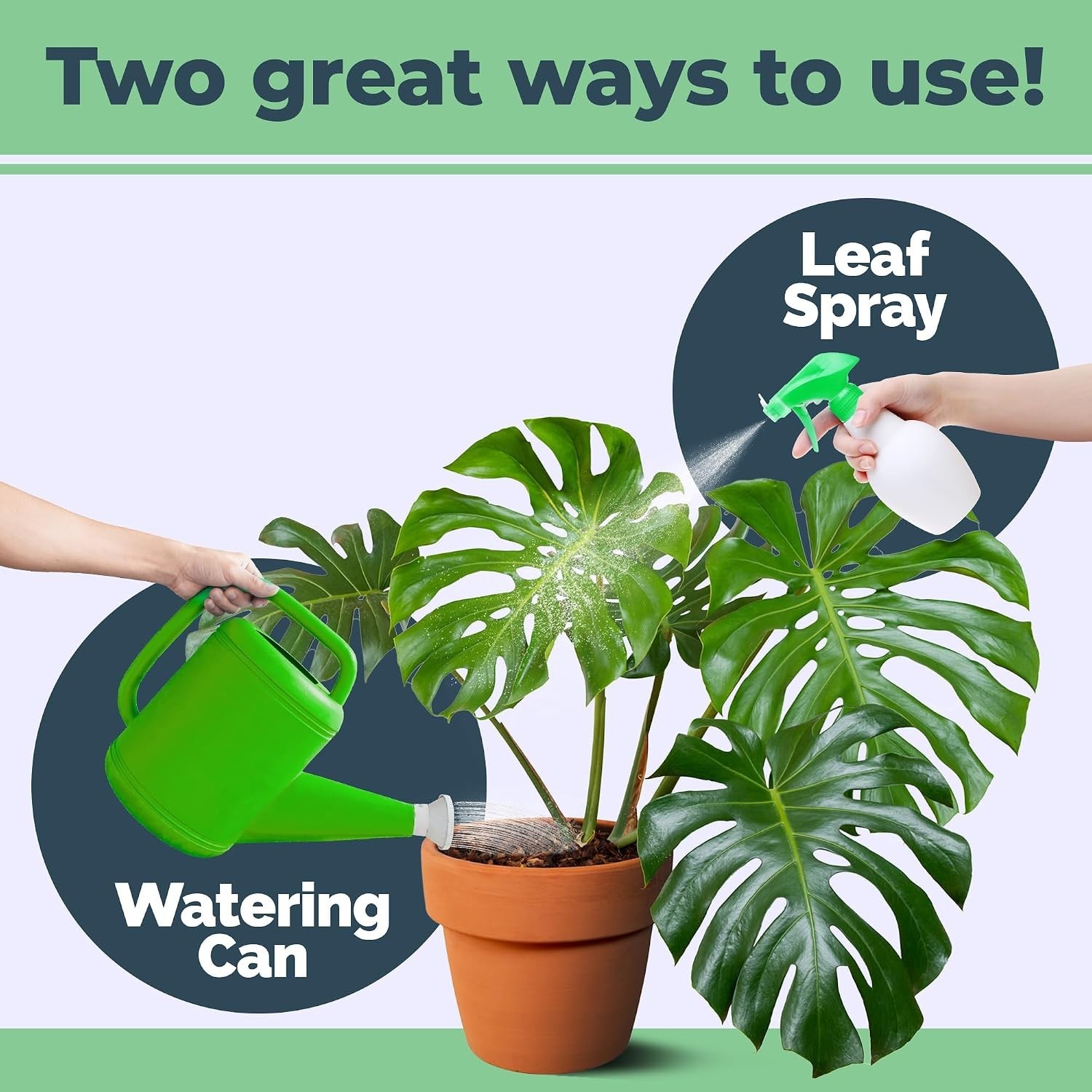 Liquid Plant Food for Monstera – 8 oz Fertilizer for Strong Roots and Leaves