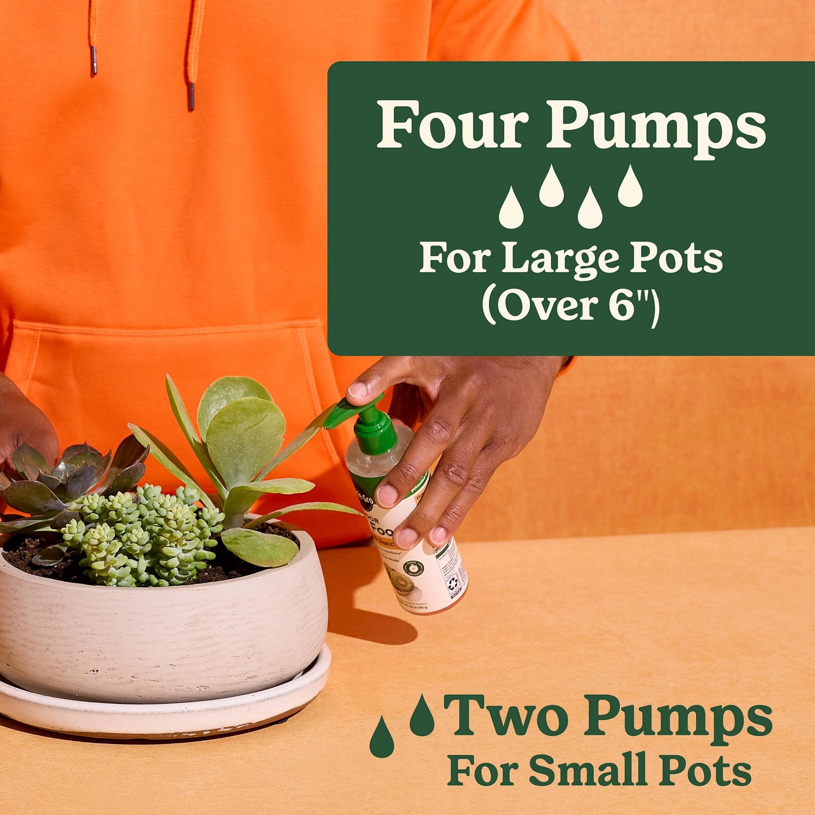 Indoor Plant Food Cactus & Succulent Liquid Plant Food 8 fl. oz.