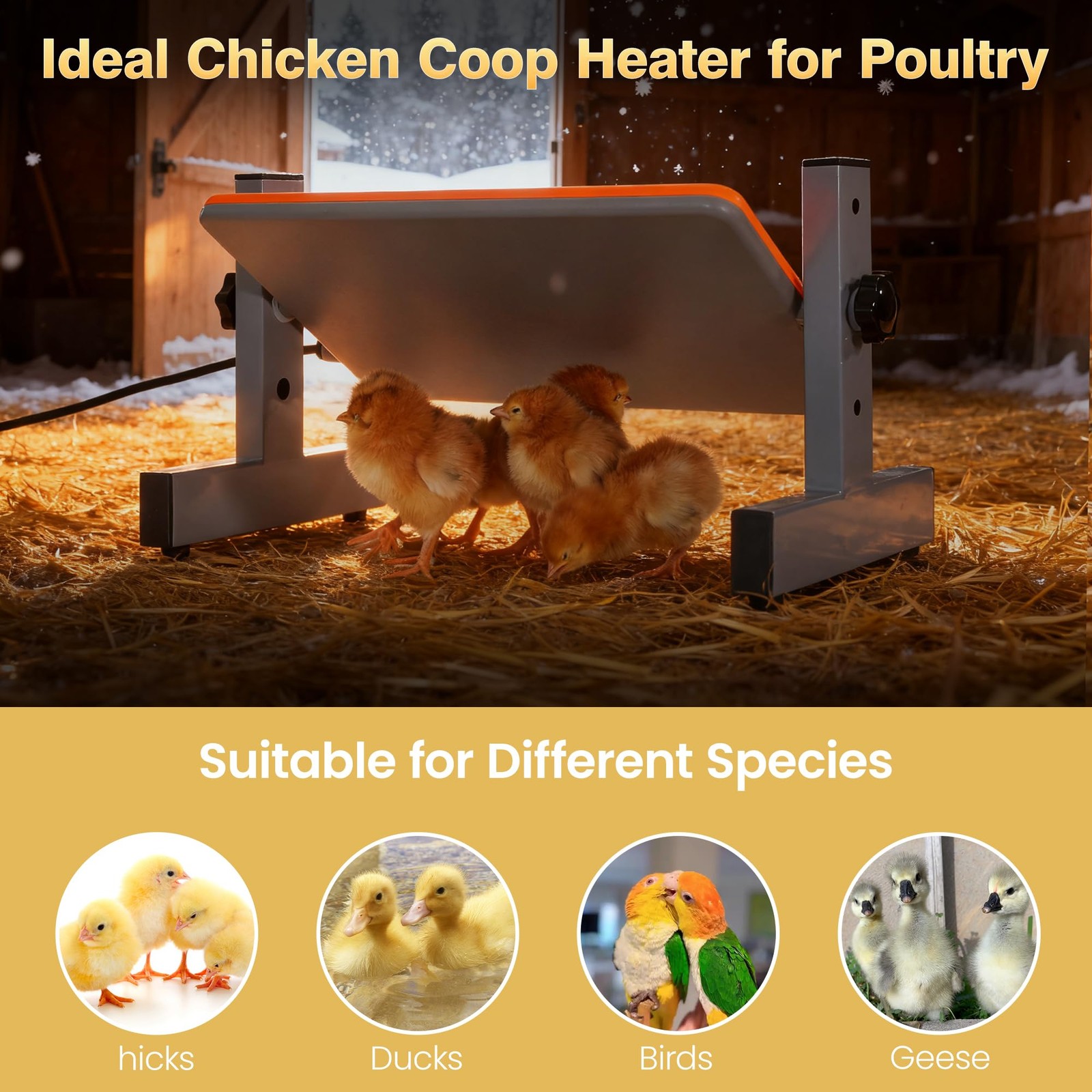 Pettemp Smart Chick Brooder Heater Digital Adjustable Radiant Chicken Coop