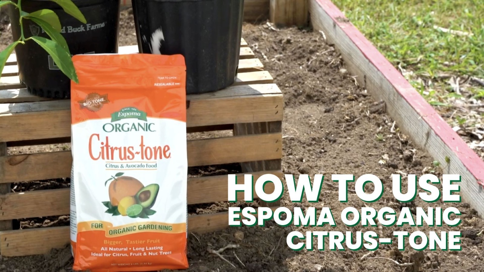 Organic Citrus Fertilizer 5-2-6 4lb Granules for Lemon Lime Avocado Nut Trees