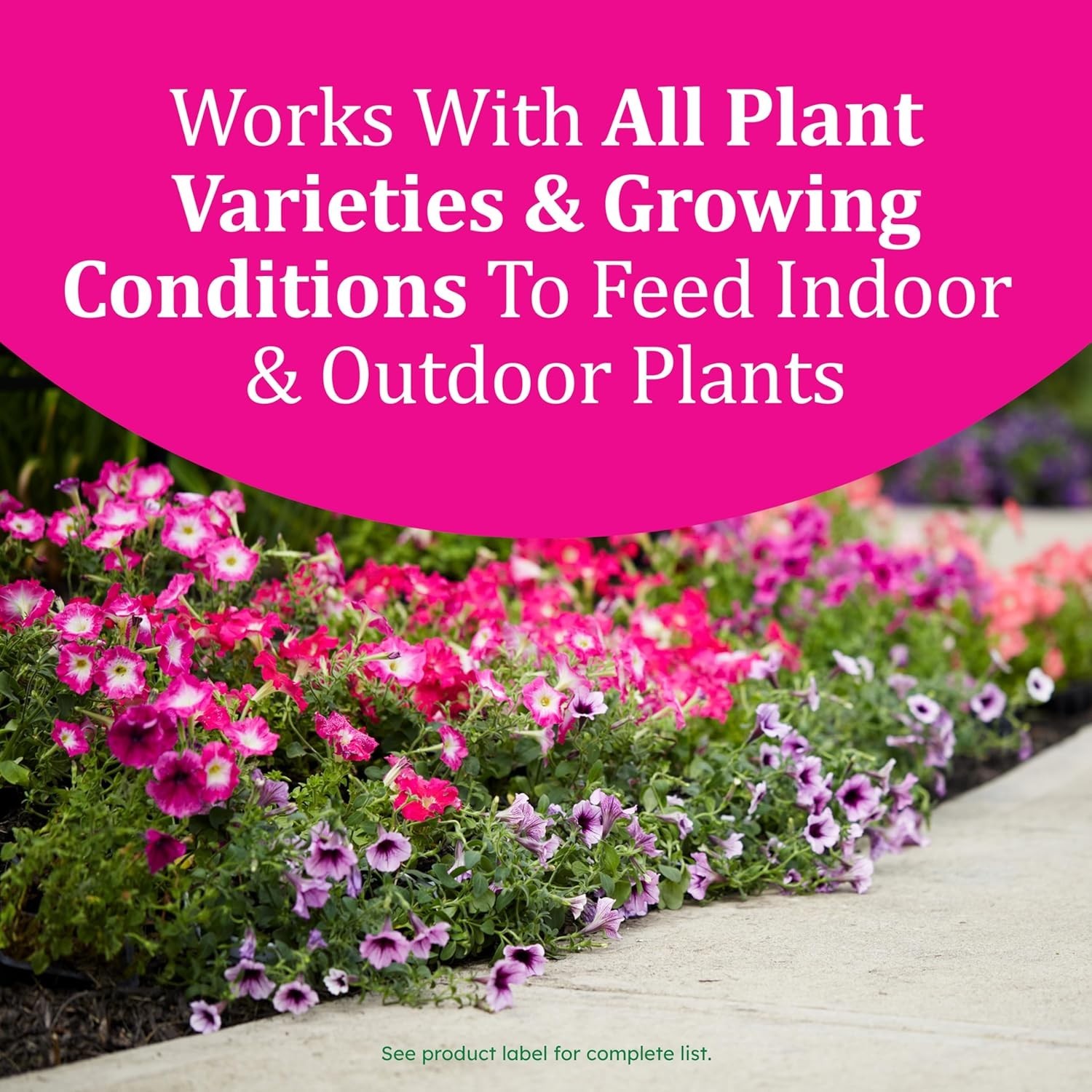 Smart-Release Plant Food 1 lb – Continuous Granular Fertilizer for All Plants