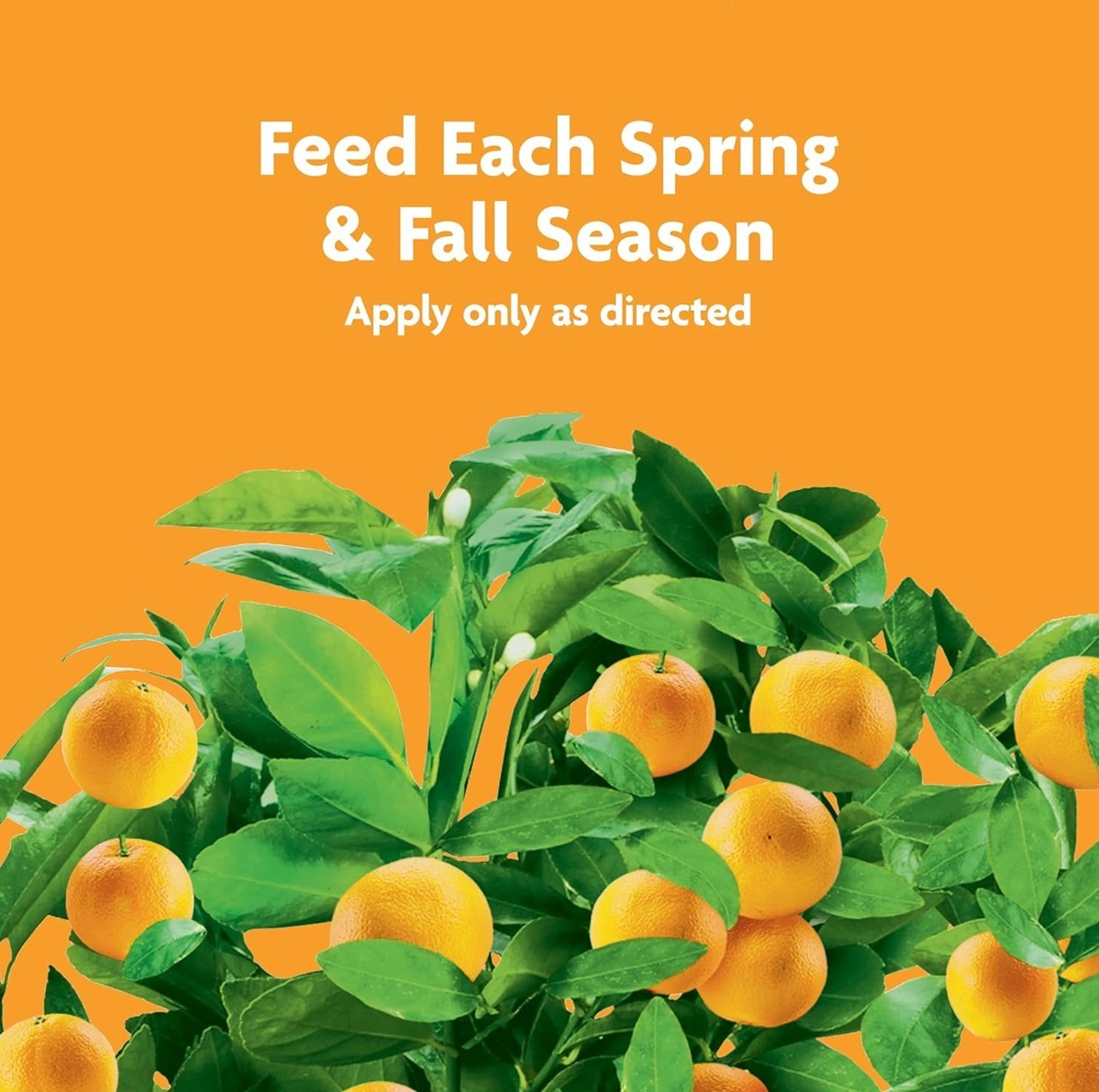 Miracle-Gro Fruit & Citrus Plant Food Spikes – 10-15-15 NPK Easy-To-Use