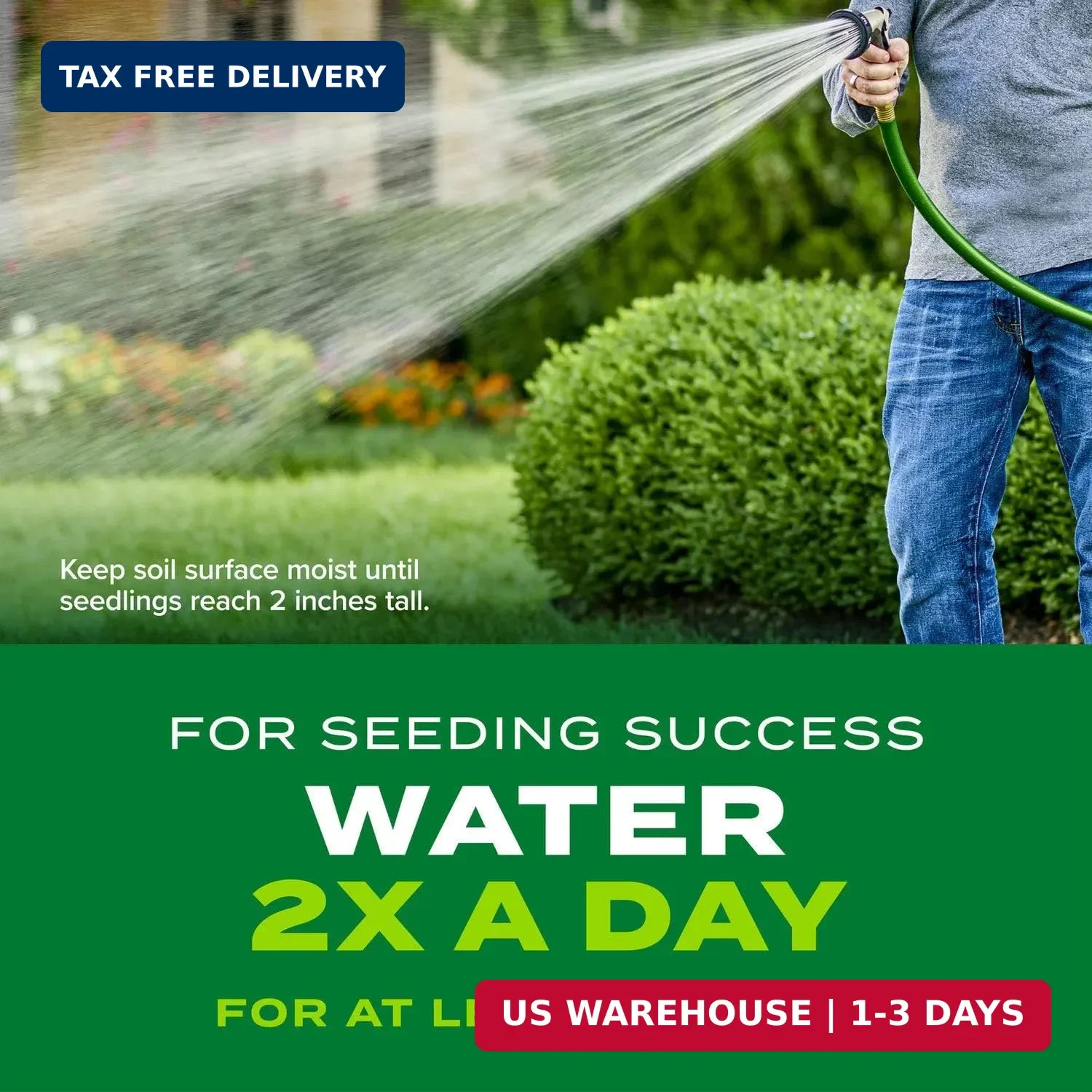 Turf Builder Rapid Grass Tall Fescue Mix – Combination Grass Seed and Fer