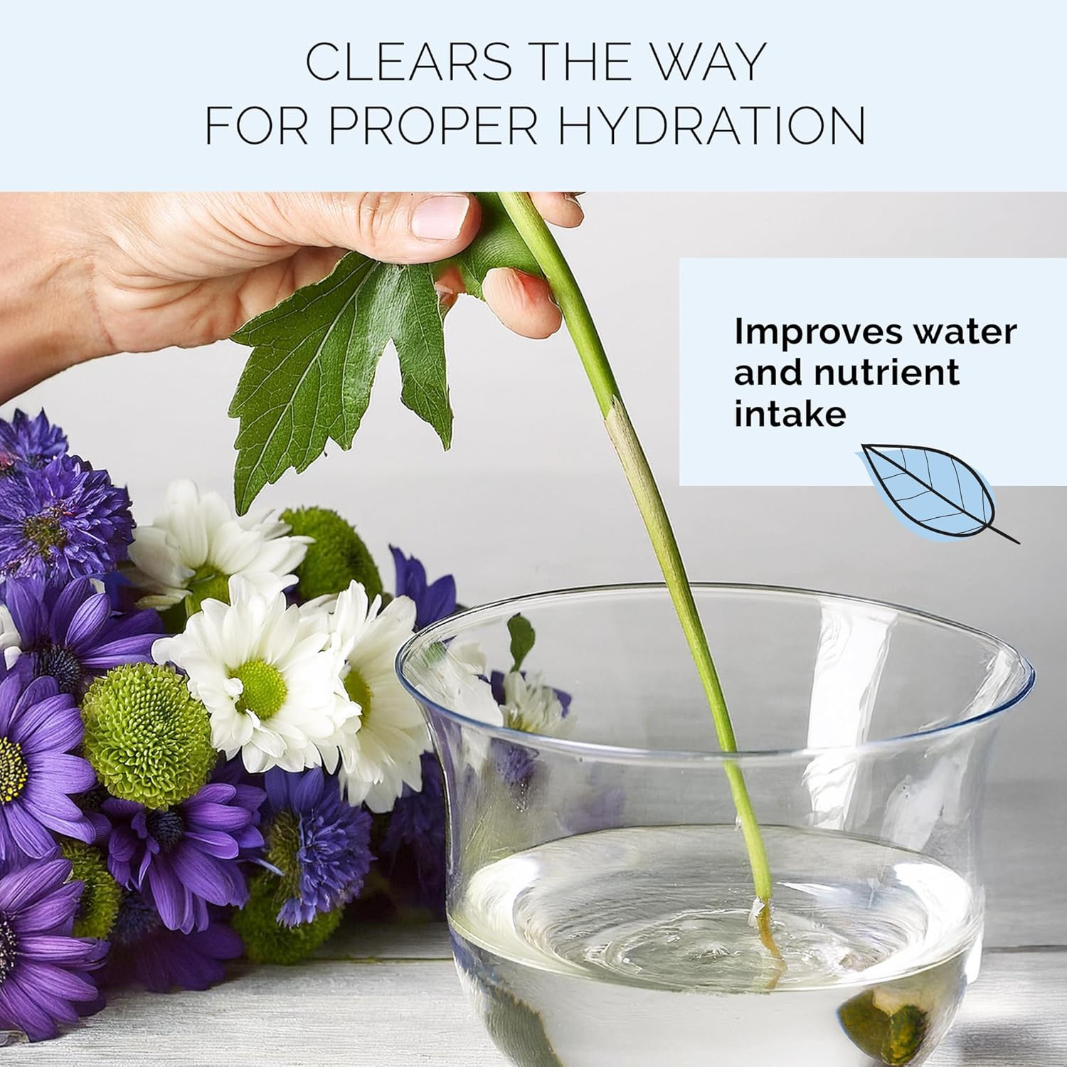 Quick Dip – Instant Hydrating Treatment Solution for Preserving Fresh-Cut Flower