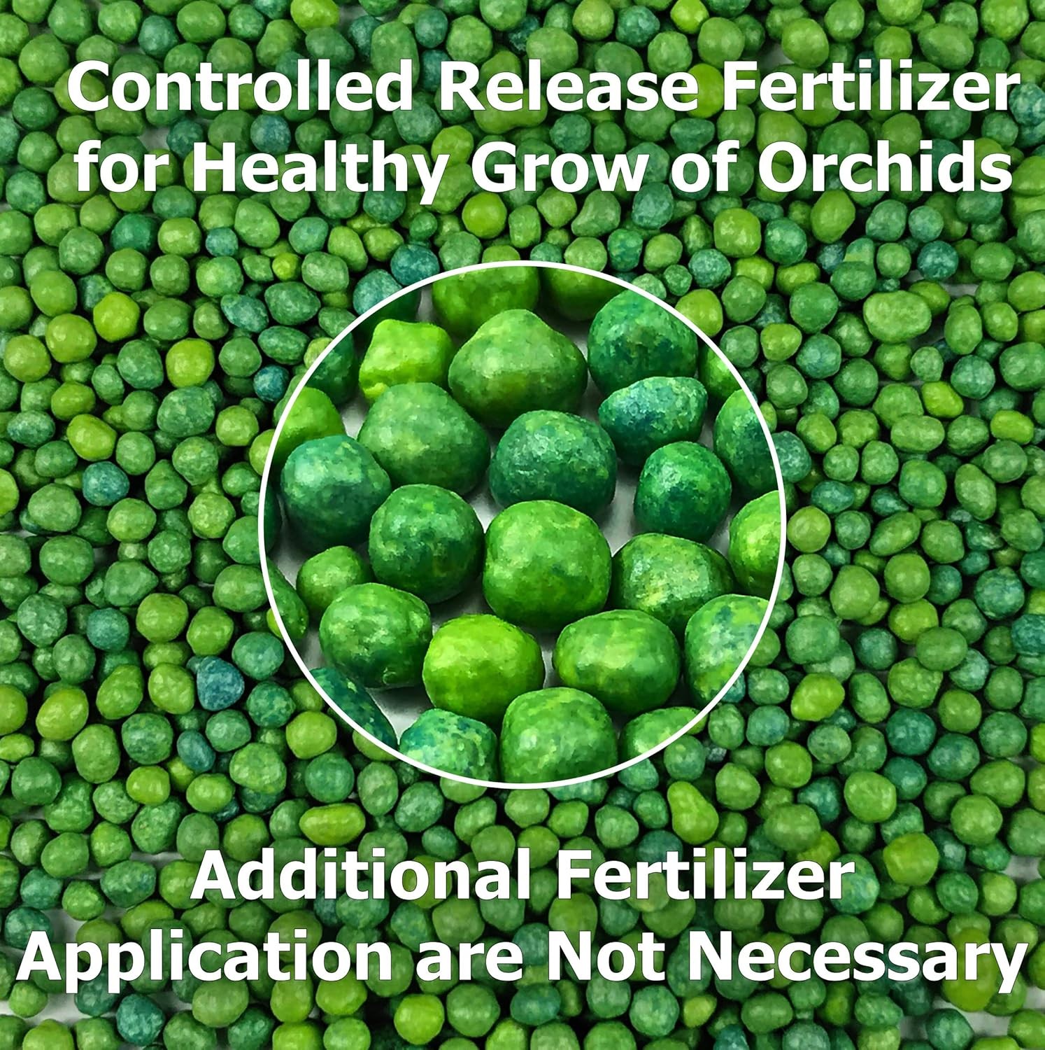 Orchid Plant Food – Bloom Booster – Slow Release Fertilizer (6 Month),5 oz, 5…